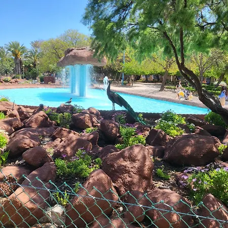 Marina Vista Торрев'єха